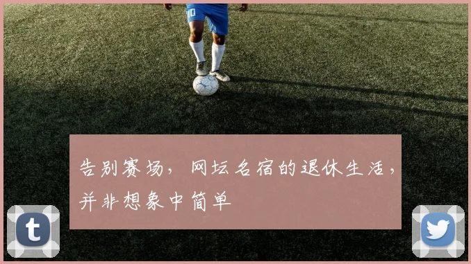 告别赛场，网坛名宿的退休生活，并非想象中简单
