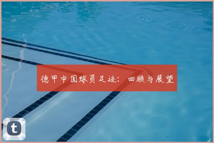 德甲中国球员足迹：回顾与展望