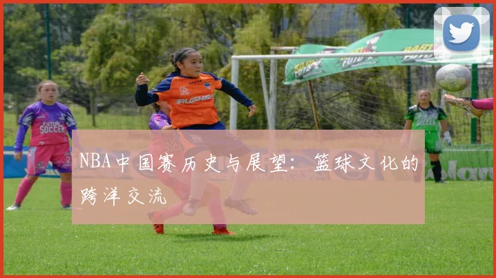 NBA中国赛历史与展望：篮球文化的跨洋交流
